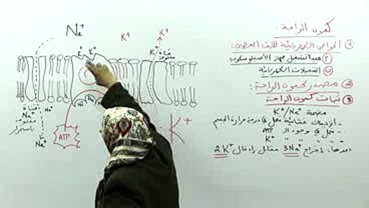 كمون العمل 1