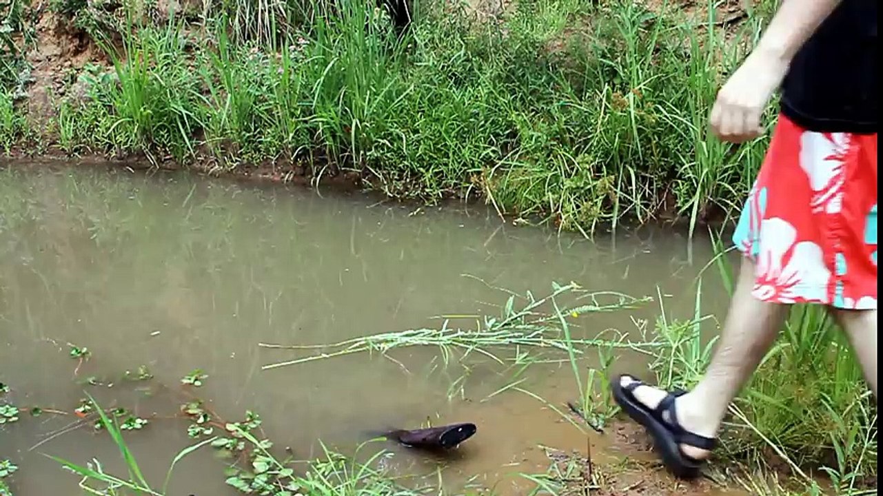 AK-47 Underwater Torture Test