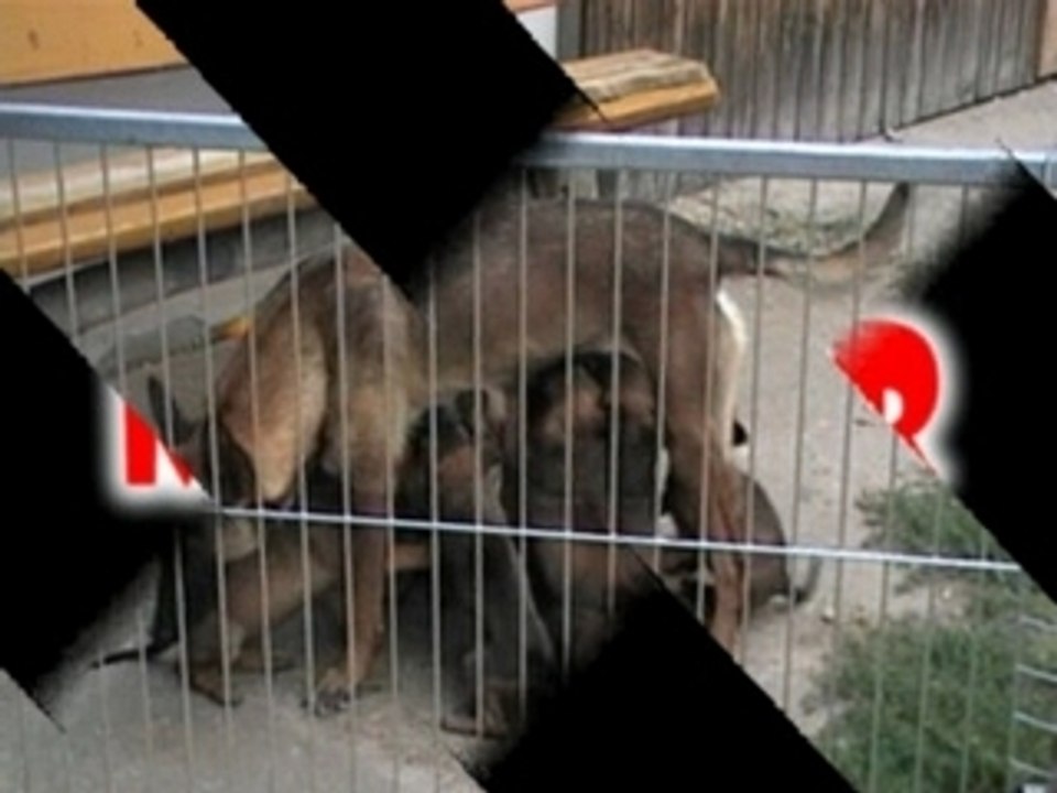 A-Wurf Bällebad 12.07.2007