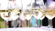 People Take Glasses Of Sparkling White Wine - Stock Footage | VideoHive 13527583