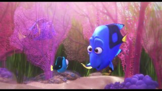 Finding Dory ALL MOVIE CLIPS 2016