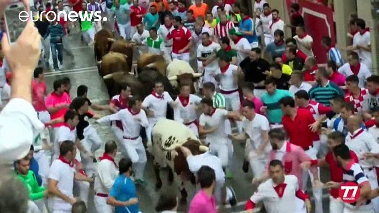 Spagna: torero muore per le ferite in una corrida