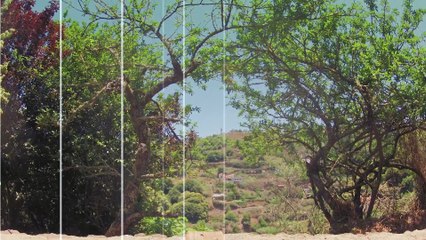 Horno de Leña | Como encender y manipular