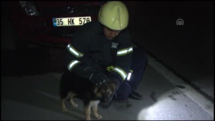 Servis Midibüsü Devrildi: 4 Yaralı