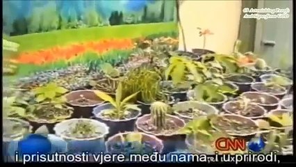 Affects of Azaan on different Flowers