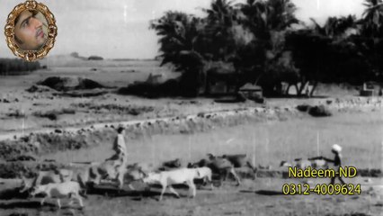 Chal Ud Jare Panchhi Full HD 1080p