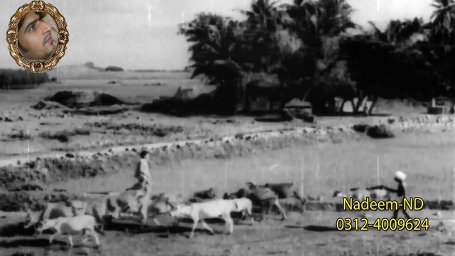 Chal Ud Jare Panchhi Full HD 1080p