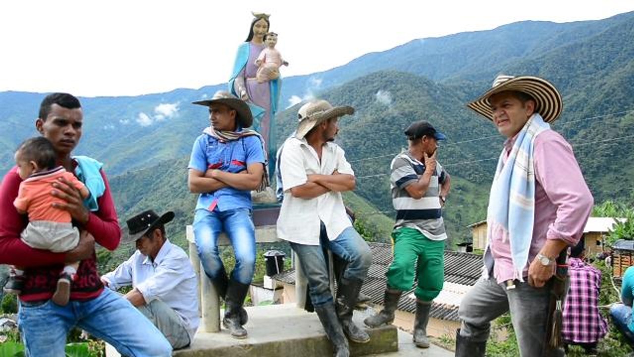 Sustitución de cultivos ilícitos por parte de Gobierno y FARC iniciará en Briceño