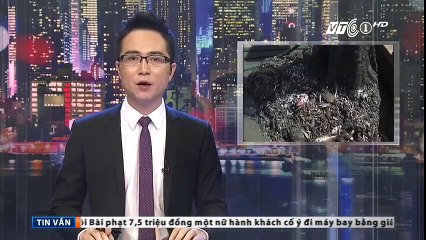 Tàu cá Trung Quốc tăng cường vơ vét khắp thế giới