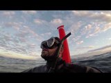 GoPro Footage Shows Scuba Diver Stranded 30 Miles From Coast