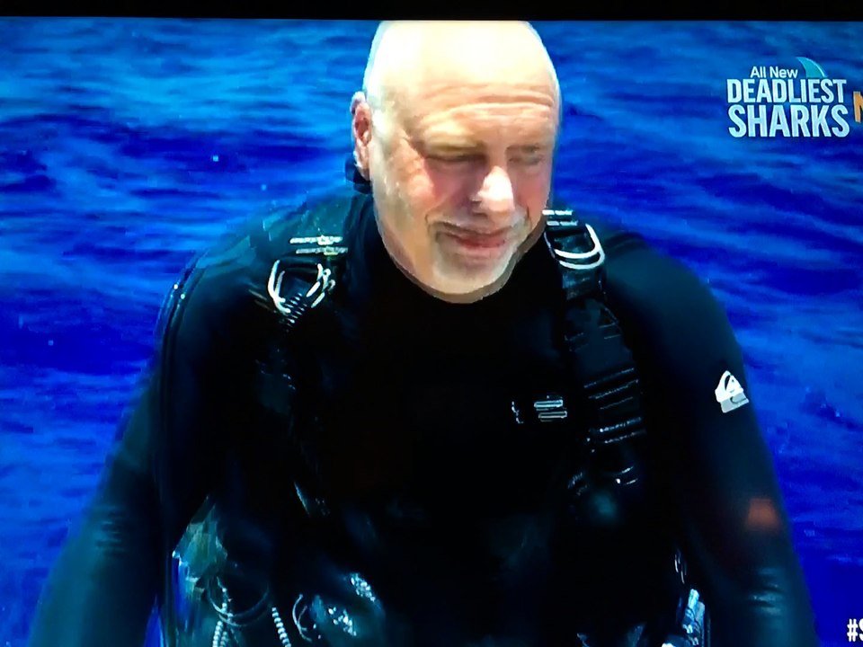 Shark Week with Make It Rain Marketing!