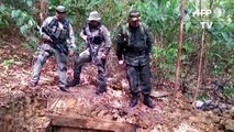 INCAUTAN 3,5 TONELADAS DE COCAÍNA EN COLOMBIA