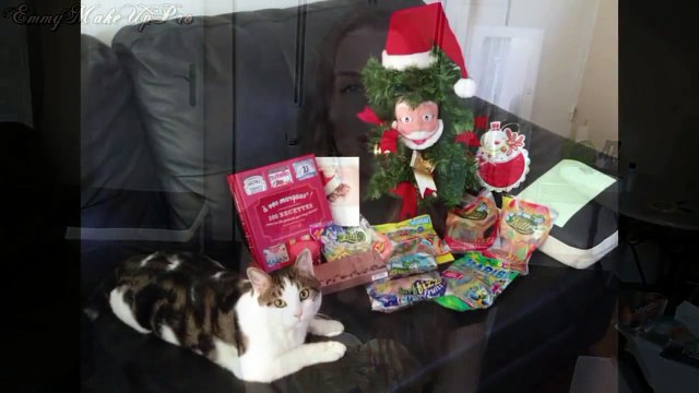 Cadeaux de Noël + Résolutions + Resultat Concours MakeUpStation