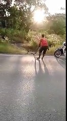 KING KOBRA SNAKE AT FOREST