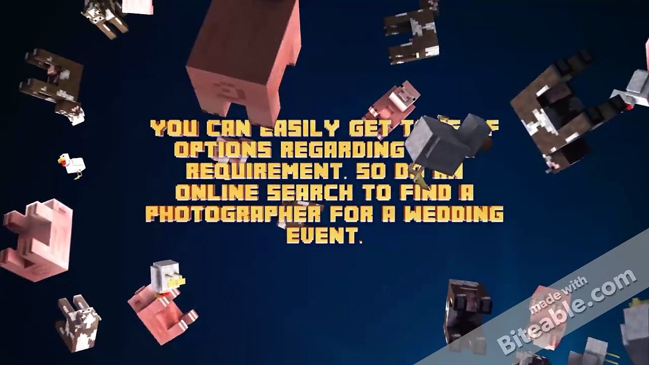 Wedding Photographers Calgary