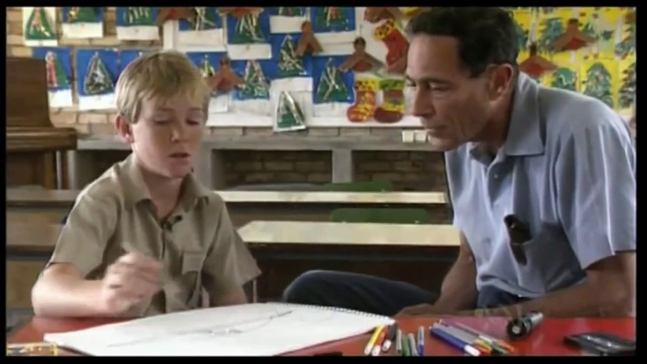 UFO Encounter at Ariel School in Ruwa, Zimbabwe 1994