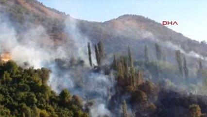Adıyaman Gölbaşı'nda Ormanlık Alanda Yangın
