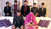 Compilation of Super Funny Videos Shaveer Jafery Zaid Ali T