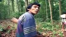Yanomami Tribes Amazon 2016 - People People Video in Amazon Rain Forest