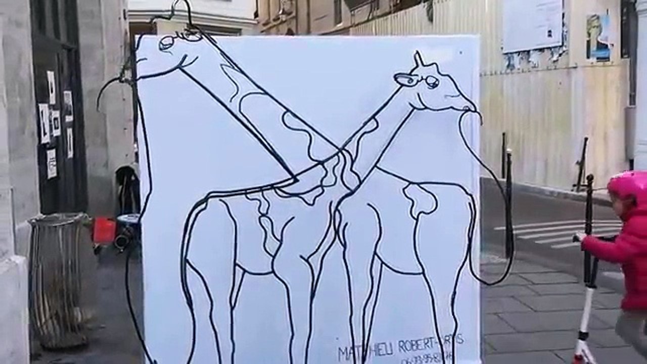 Elephant vs Giraffe Optical Illusion