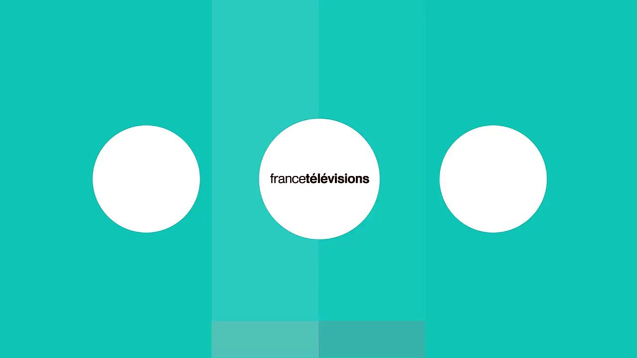 Delphine Ernotte confirme le lancement de la nouvelle chaine dinfo "France info" le 1er septembre