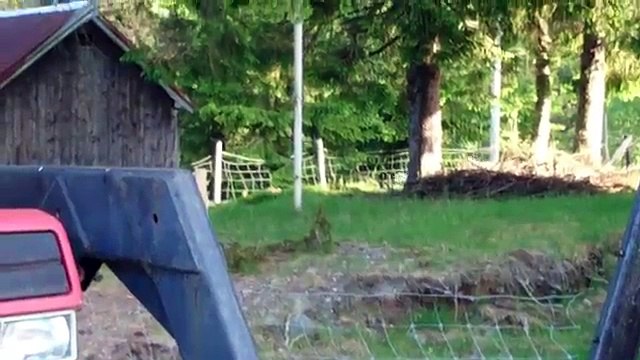 Un mouton engueule ses potes moutons...