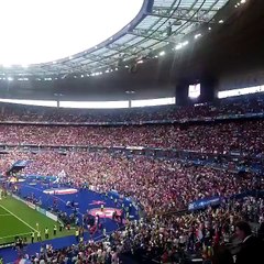 Une invasion de papillons et de mites a envahi la pelouse de la finale de l'Euro avant le match