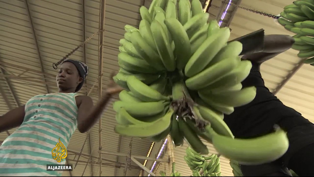 Angola diversifies economy after oil price crash