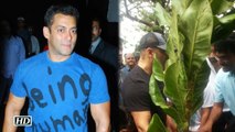 Watch Salman Khan promote tree plantation