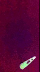 surprise à son papa caché dans le coffre d'une voiture