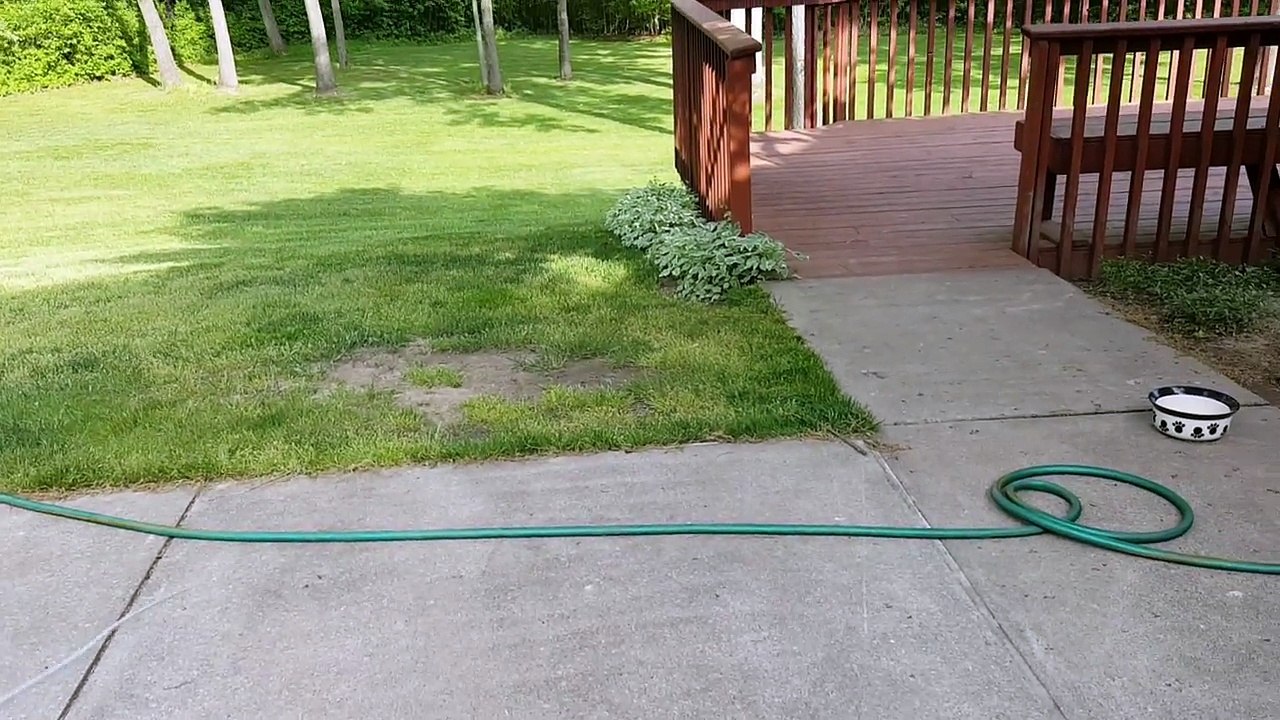 How to find sprinkler lines using a simple coat hanger