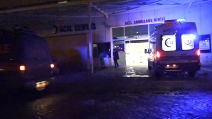 Kars Teyze, Ayı Korkusundan Kaçan Yeğenini Kurtarmak İsterken Ölüme Gitti -2