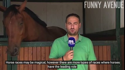 Ce reporter rate carrément son direct, la raison est à mourir de rire