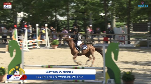 CSO Poney 2D Minime 2