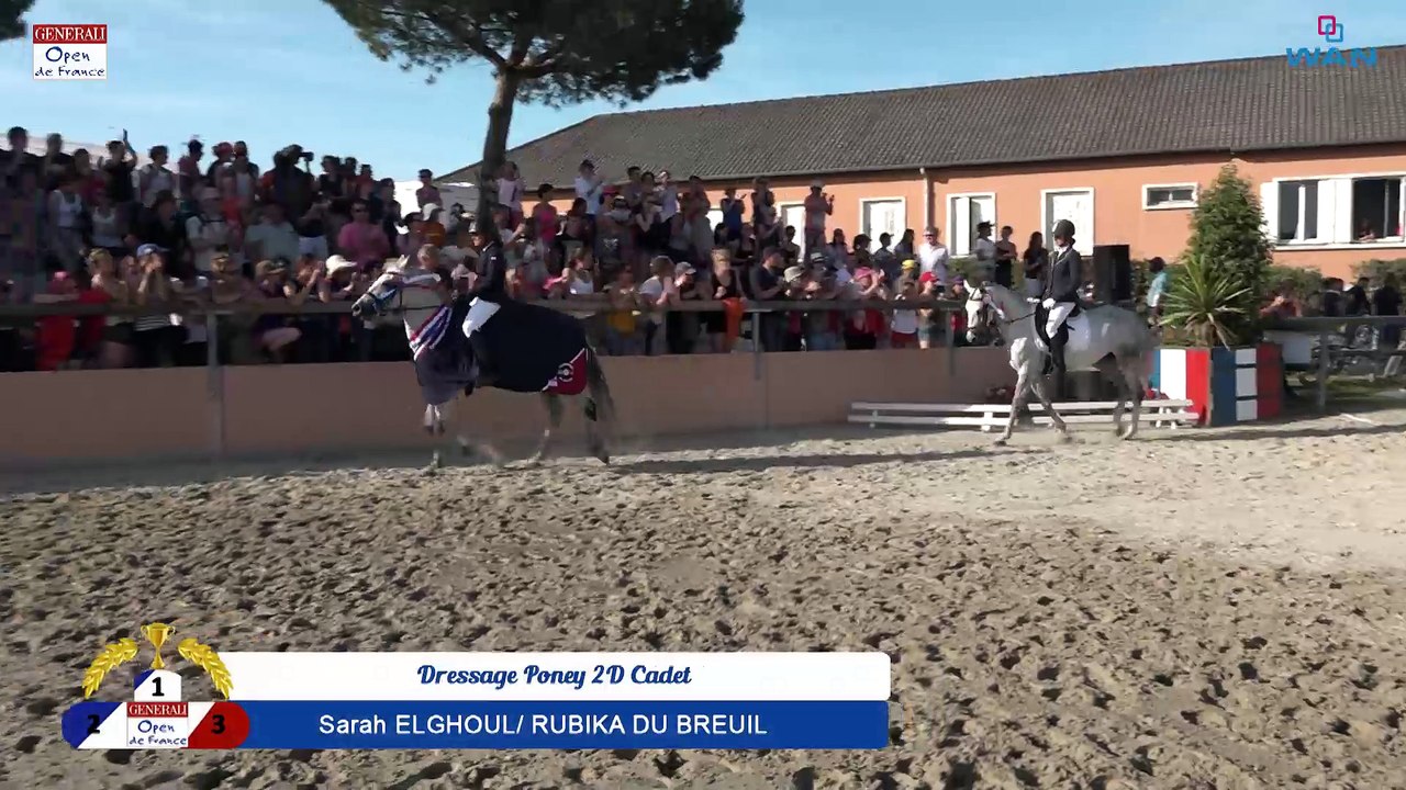 Dressage Poney 2D Cadet