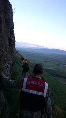 Ayı Faciasından Yeni Detaylar! Teyze Yeğenini Kurtarmak İsterken Ölüme Gitti