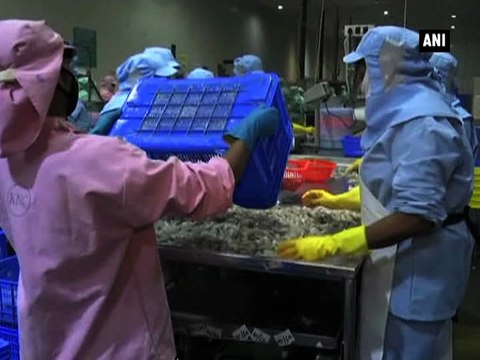 People belonging to different religious beliefs work under one platform