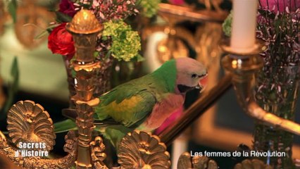 Secrets d'Histoire - Les femmes de la Révolution - Le château de Chimay