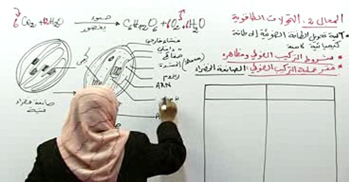 مقر عملية التركيب الضوئي ما فوق البنية الخلوية للصانعة 1