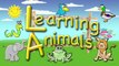 For Toddlers - Learning Animals, An Educational Video for Preschoolers