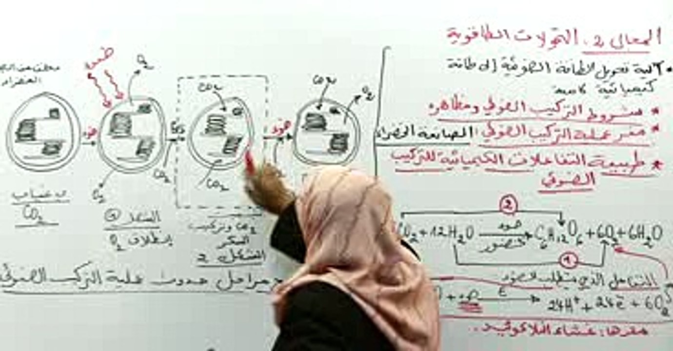 مقر عملية التركيب الضوئي ما فوق البنية الخلوية للصانعة 3
