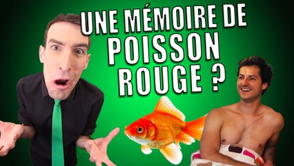 IDÉE REÇUE #11 : La mémoire du poisson rouge (feat. Nicolas Meyrieux)