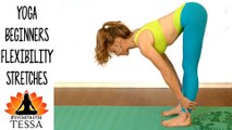 Flexibility Yoga Stretches and Exercises, Beginners to Intermediate Yoga Workout