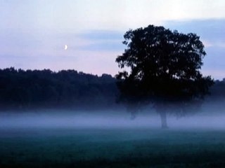 Michael Sterns – "As The Earth Kissed The Moon" 
