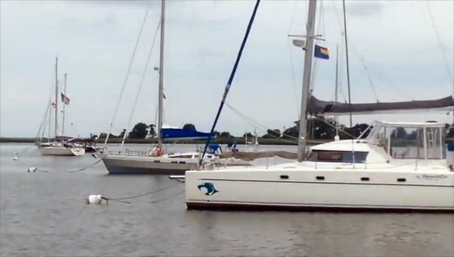 Ils entendent crier en pleine mer, quand ils découvrent ce que c'est, ils n'y croient pas!