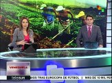 Arroceros de Venezuela cosecharán 25 toneladas del grano