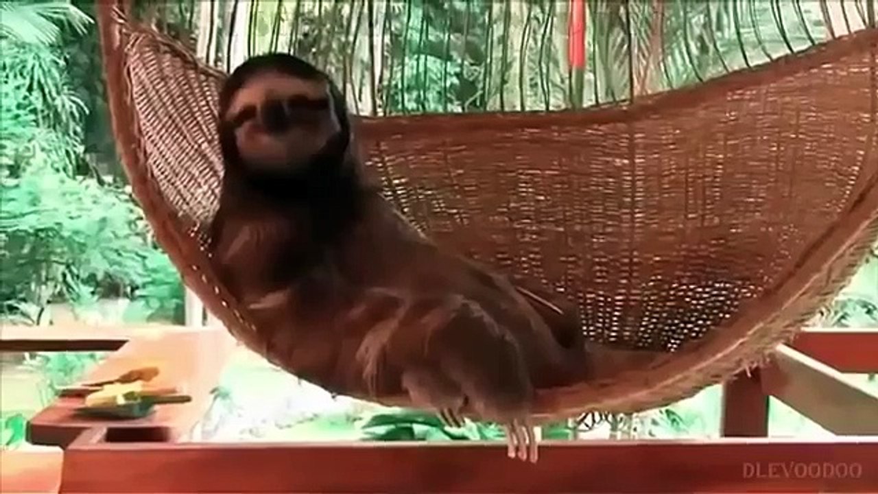 BEST FUNNY PRANKS VIDEOS 2016 - FUNNY FAILS , JOKES EVER , FUNNY CLIP COMPILATION