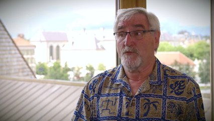 La forêt et ses bienfaits : des services gratuits ?