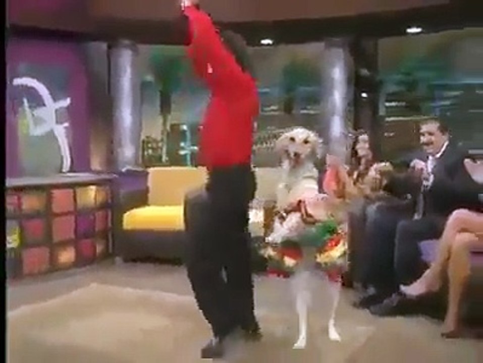 funny,A man dance with dog