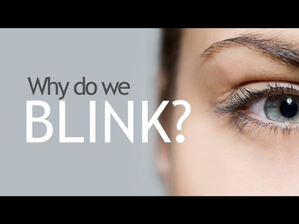 Why Do We Blink?